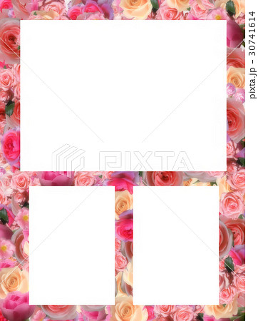 フォトアルバム用写真3枚用テンプレート ピンクの薔薇のイラスト素材