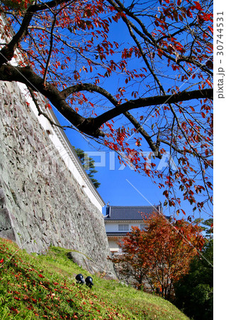 秋の霞ヶ城（二本松市） 30744531