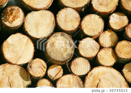Timber lumber balk beam short Timber lumber balk beam short 30745015