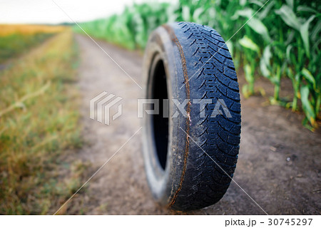 automobile tires corn field close-up automobile tires corn field close-up 30745297