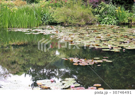 フランス・ジベルニー　モネの庭園 30746491