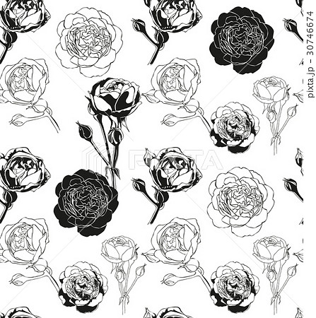 新着バラ 花束 イラスト 白黒 ディズニー画像のすべて