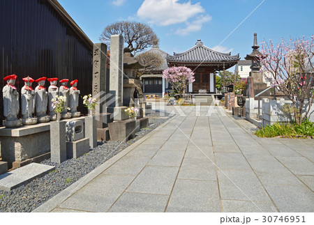 谷中散歩：明王院　参道の六地蔵尊 30746951
