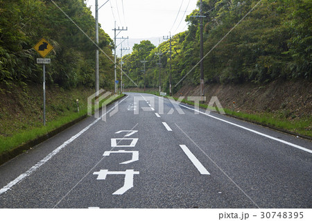 奄美大島　国道58号線 30748395