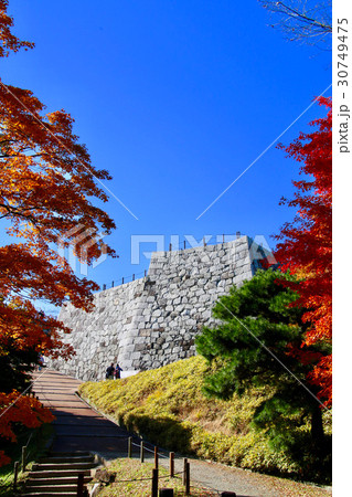 天守台のモミジ（二本松市） 30749475