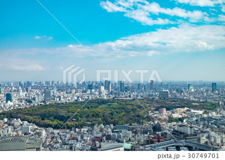明治神宮・代々木公園 30749701