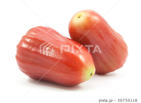 rose apple isolated 30750116