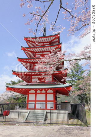 桜咲く富士吉田市の新倉山浅間公園に建つ五重の塔、忠霊塔 30750830