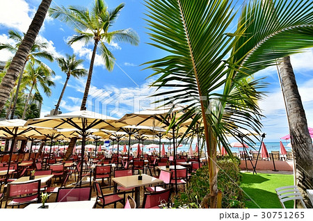 ハワイの休日 30751265