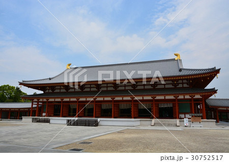 春の奈良薬師寺 春の奈良薬師寺 30752517