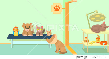 Veterinary clinic horizontal banner, cartoon style 30755280