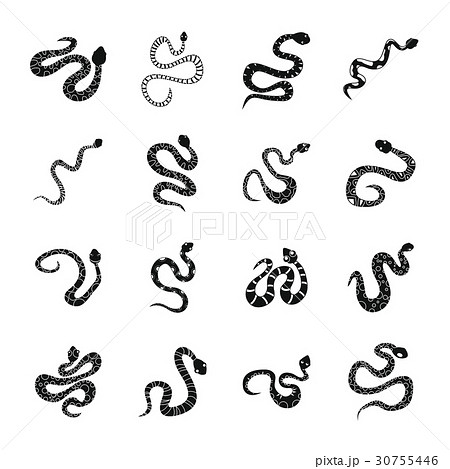 Snake icons set, simple style 30755446