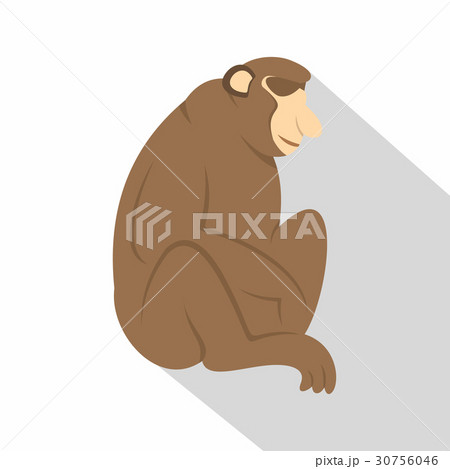 Orangutan monkey icon, flat style Orangutan monkey icon, flat style 30756046