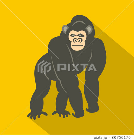 Bonobo monkey icon, flat style Bonobo monkey icon, flat style 30756170