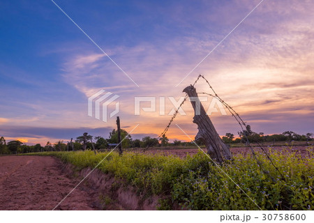 sunset in rural scene 30758600