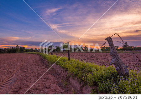 sunset in rural scene 30758601