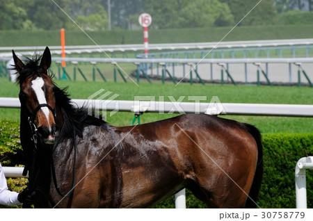 勝ち馬 勝ち馬 30758779