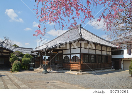 谷中散歩:龍泉寺本堂 谷中散歩:龍泉寺本堂 30759261