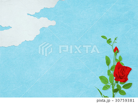 青空とバラの花 30759381