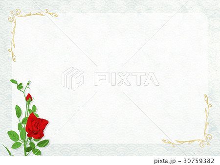 バラの花の挿絵の用紙のイラスト素材