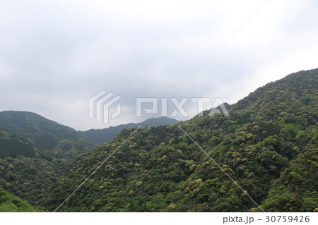 照葉大吊橋(宮崎県東諸県郡綾町) 照葉大吊橋(宮崎県東諸県郡綾町) 30759426