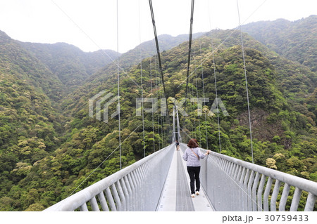 照葉大吊橋（宮崎県東諸県郡綾町） 30759433