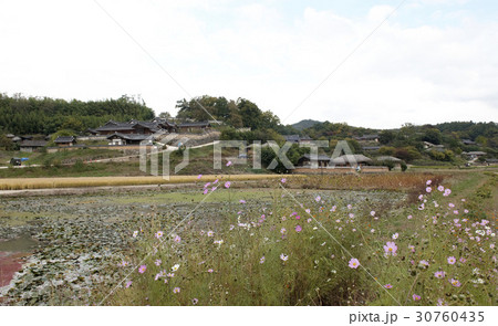 慶北 良洞民俗村 風景 30760435