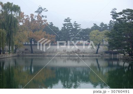 秋 景福宮 霧 30760491
