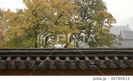 景福宮 古建築 紅葉 30760613