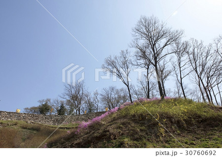 プリンセス山城 私的 城壁 30760692