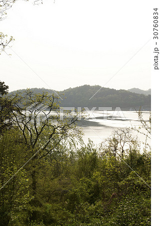 木 大清湖 風景 30760834