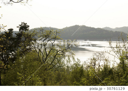 大清湖 自然 忠清北道 30761129