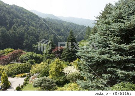 加平郡 京畿道 キョンギド 30761165