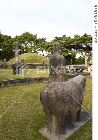 陵 世界文化遺産 ヤングニョンルン 30761636