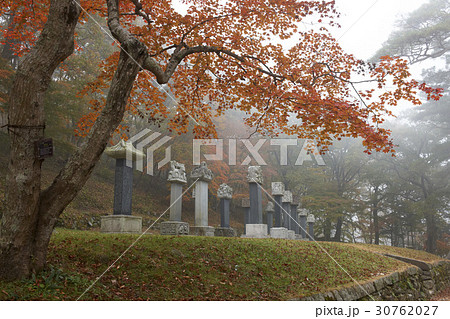 秋 不渡り 松広寺 30762027