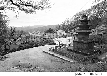 浮石寺 石塔 栄州市 30762519