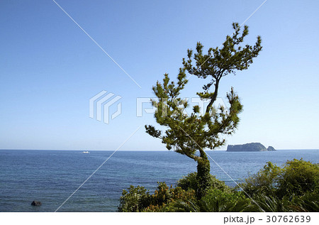 虎島 西帰浦市 島 30762639
