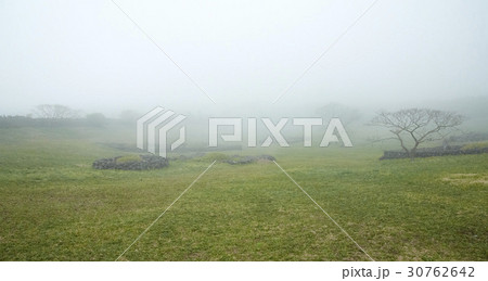 サングムブリ 霧 済州島 30762642