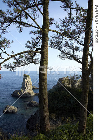 海 島 ウェドルゲ 30762643