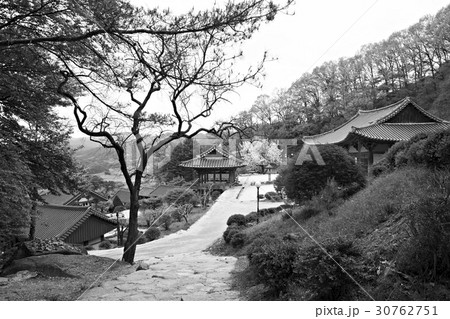 慶北 鳳凰山 浮石寺 30762751