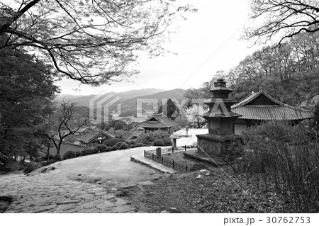 浮石寺 韓国 モノクロ 30762753