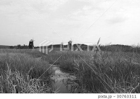 モノトーン 生態公園 風車 30763311