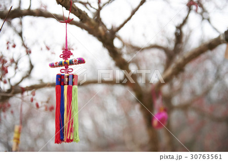 枝 装身具 民俗村 30763561