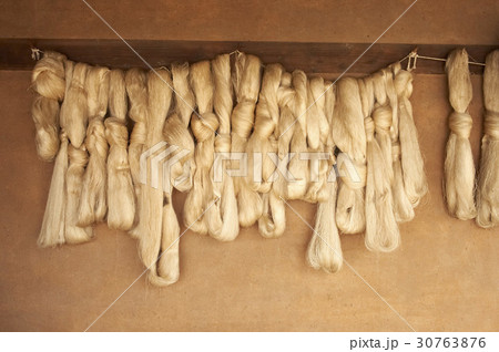 とっつき ぶら下がる 絹糸 30763876