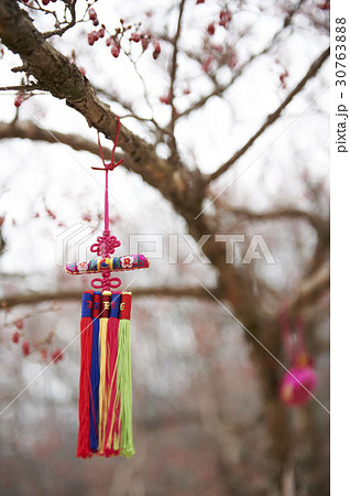 枝 装身具 アクセサリー 30763888