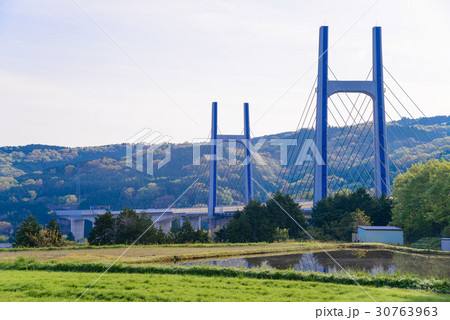 棚田と東名高速道路の高架橋 30763963