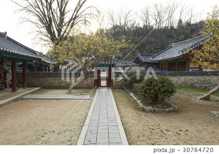 古建築 全北 全州郷校 30764720