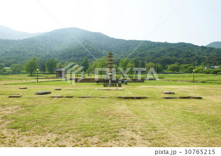 朝鮮 韓国 樹木 30765215