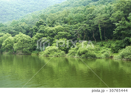 槐山郡 槐山号 夏 30765444