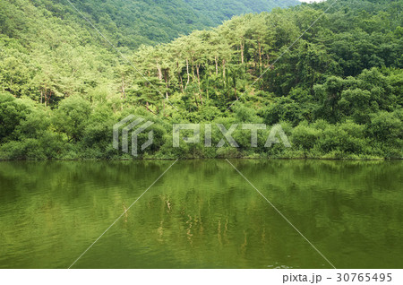 槐山号 春 忠清北道 30765495